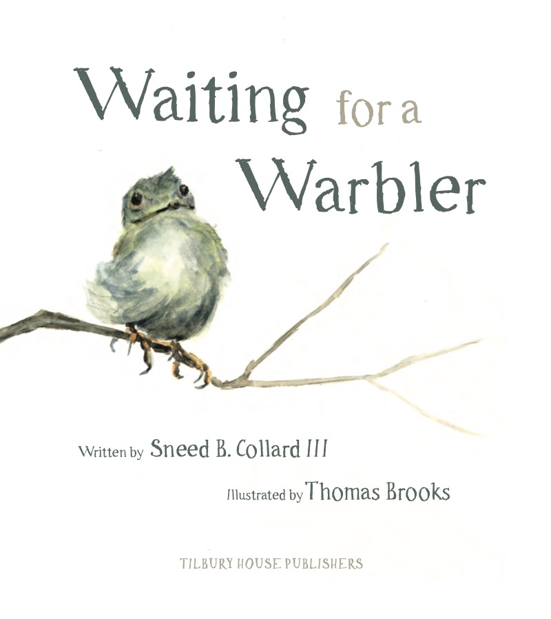 Waiting for a Warbler book cover