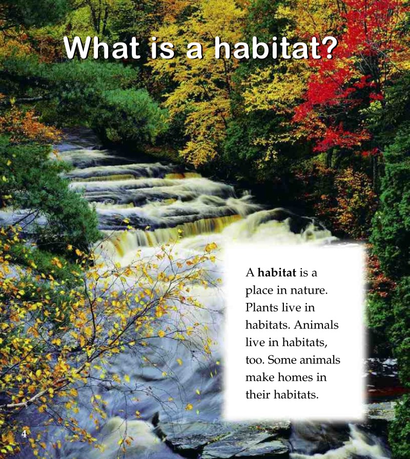 A Forest Habitat — page 1