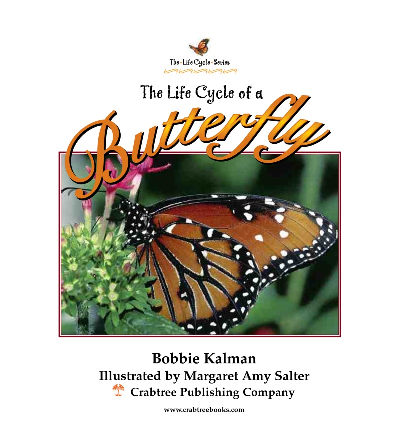 The Life Cycle of a Butterfly book cover