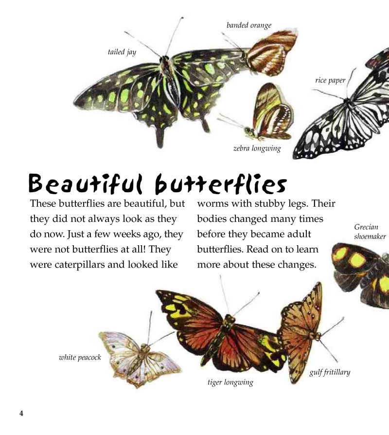 The Life Cycle of a Butterfly — page 1