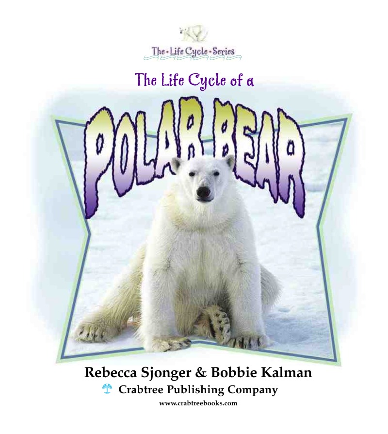 The Life Cycle of a Polar Bear book cover