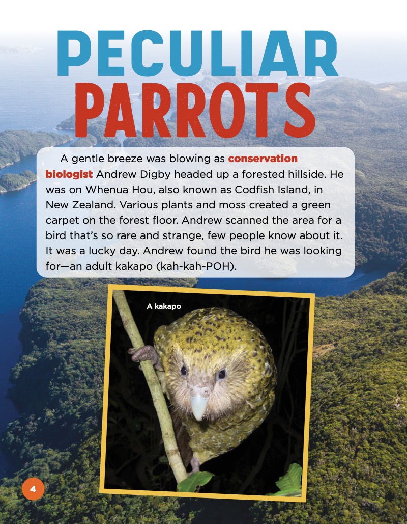 Study of Secretive Animals: Kakapos — page 1