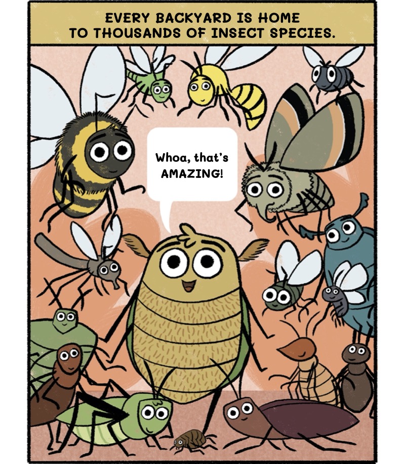 Burt the Beetle Doesn't Bite! — page 1
