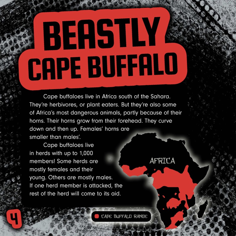 Bizarre Beast Battles: Cape Buffalo vs. Gray Wolf — page 1