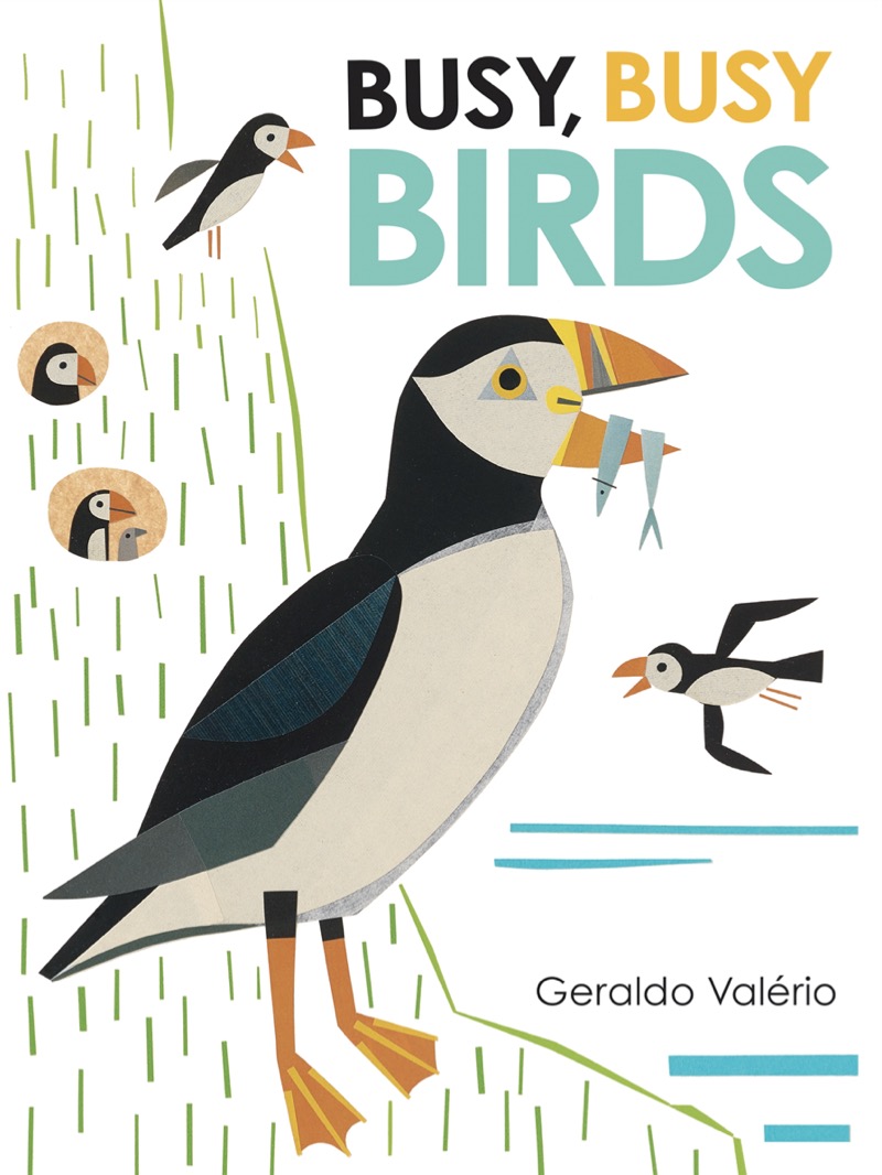 Busy Busy Birds book cover
