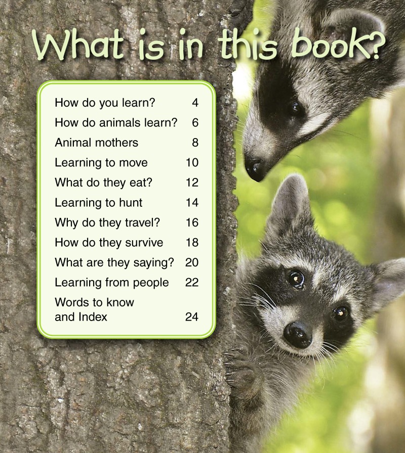 How Do Baby Animals Learn? book cover