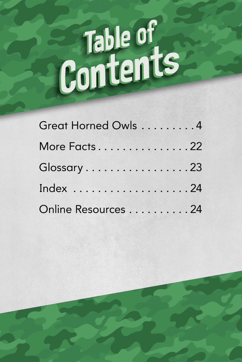 Animals with Camo: Great Horned Owls book cover