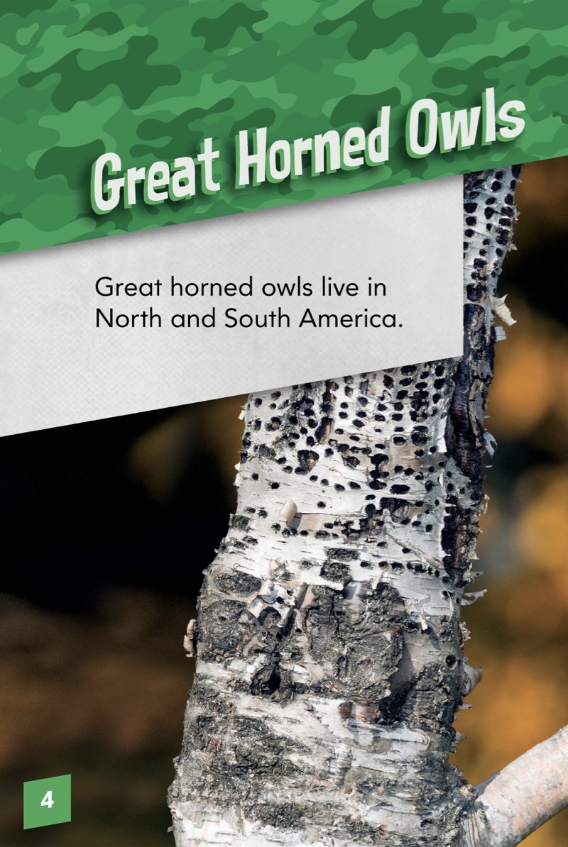 Animals with Camo: Great Horned Owls — page 1