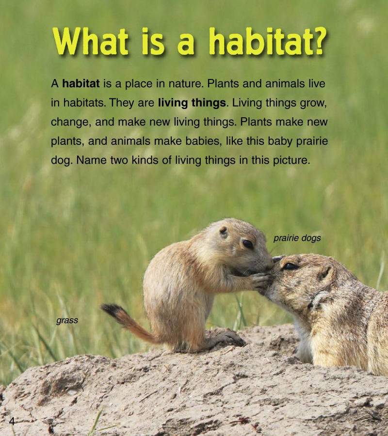 Baby Animals in Grassland Habitats — page 1