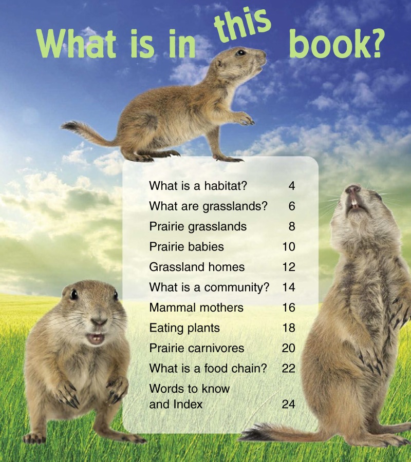 Baby Animals in Grassland Habitats book cover