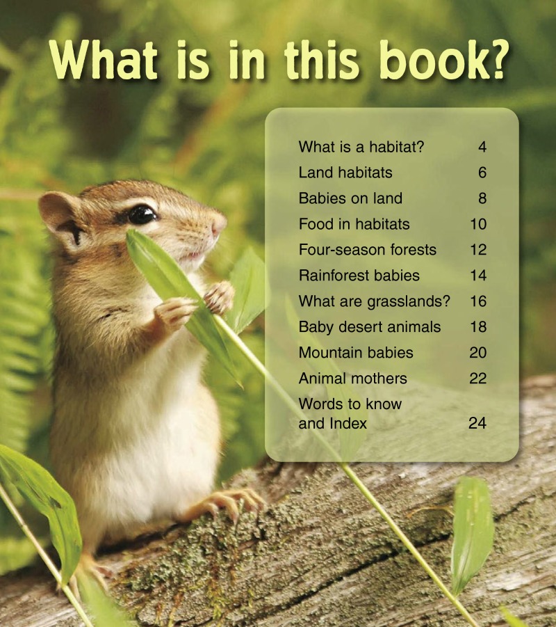 Baby Animals in Land Habitats book cover