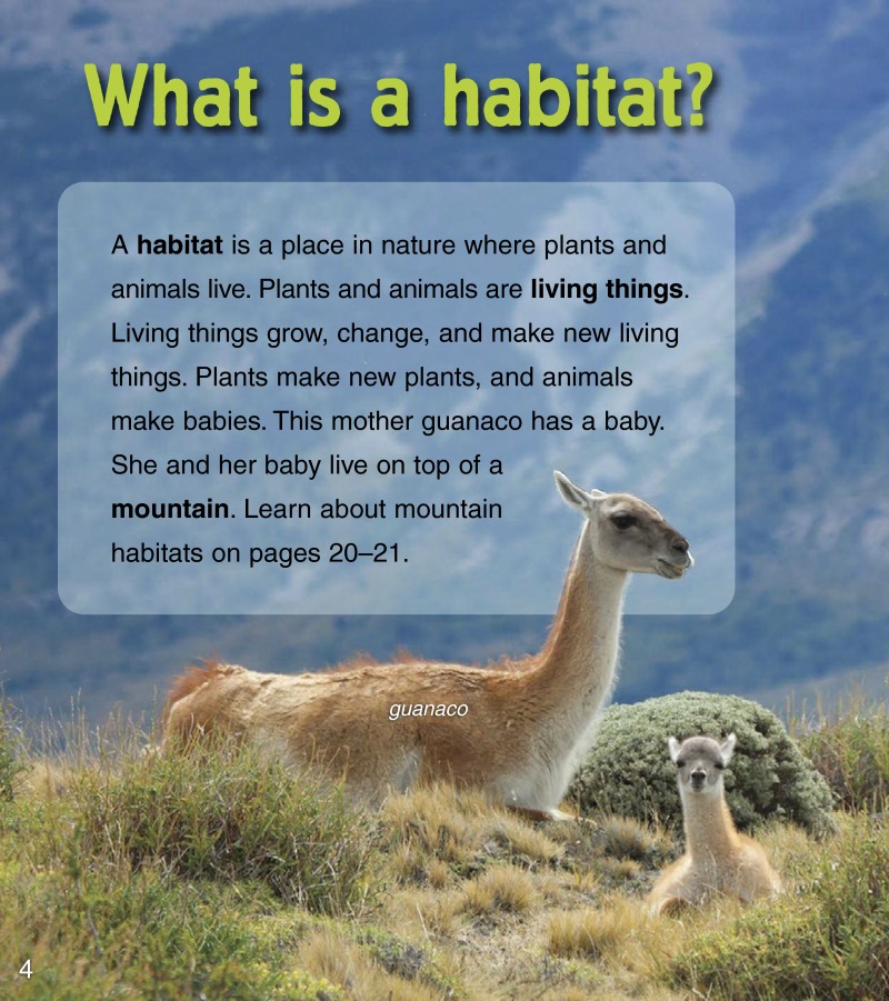 Baby Animals in Land Habitats — page 1