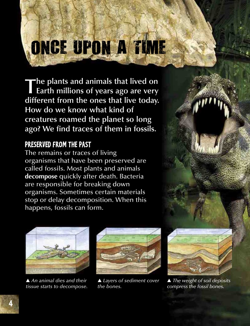What Are Fossils? (Let's Rock!) — page 1
