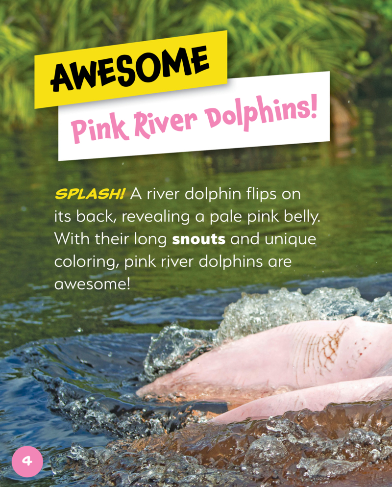 Awesome Animals: Pink River Dolphin — page 1