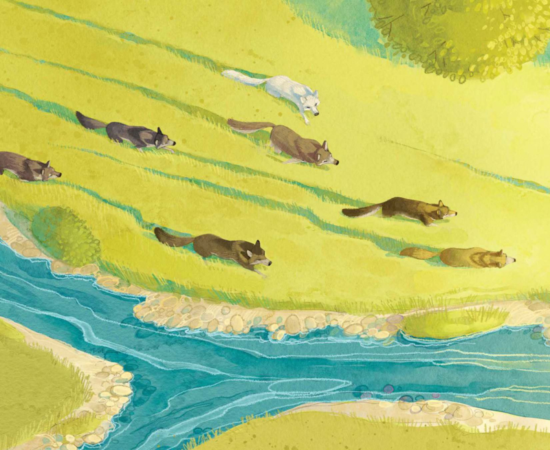 The River that Wolves Moved: A True Tale from Yellowstone — page 1