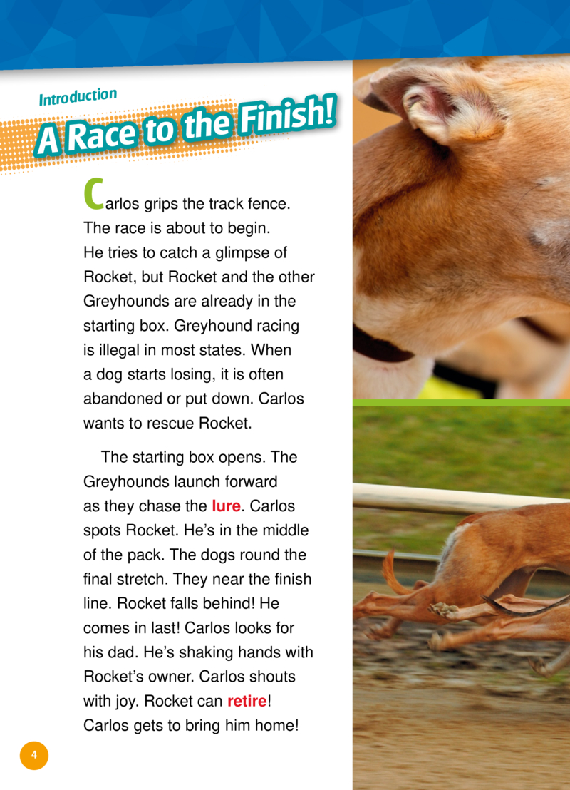 My Favorite Dog: Greyhounds — page 1