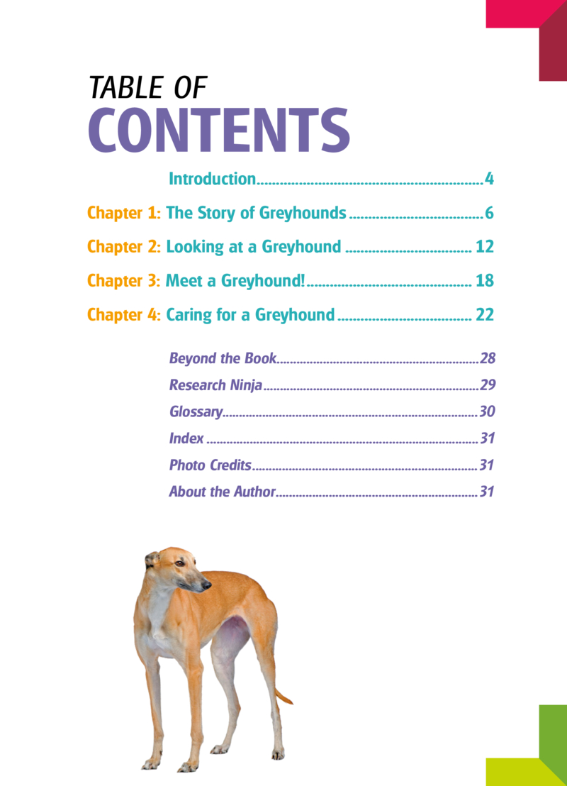 My Favorite Dog: Greyhounds book cover