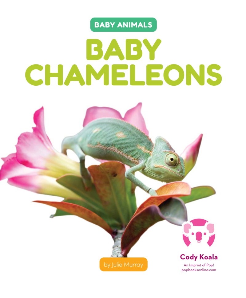 Baby Chameleons book cover