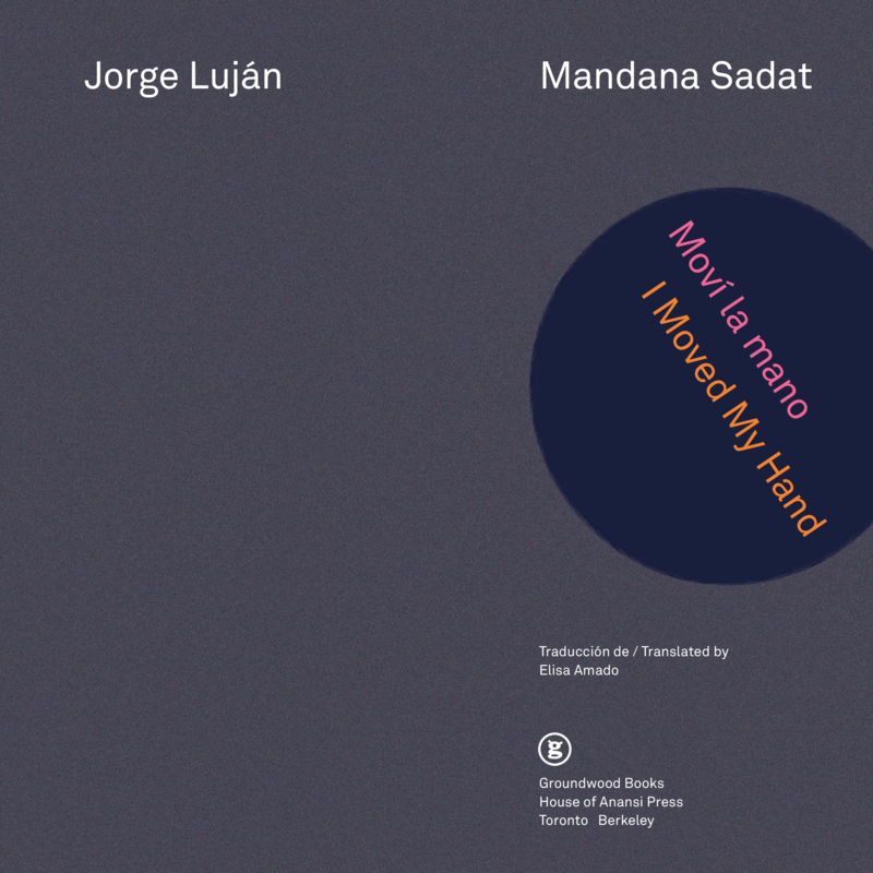 Moví la mano / I Moved My Hand book cover