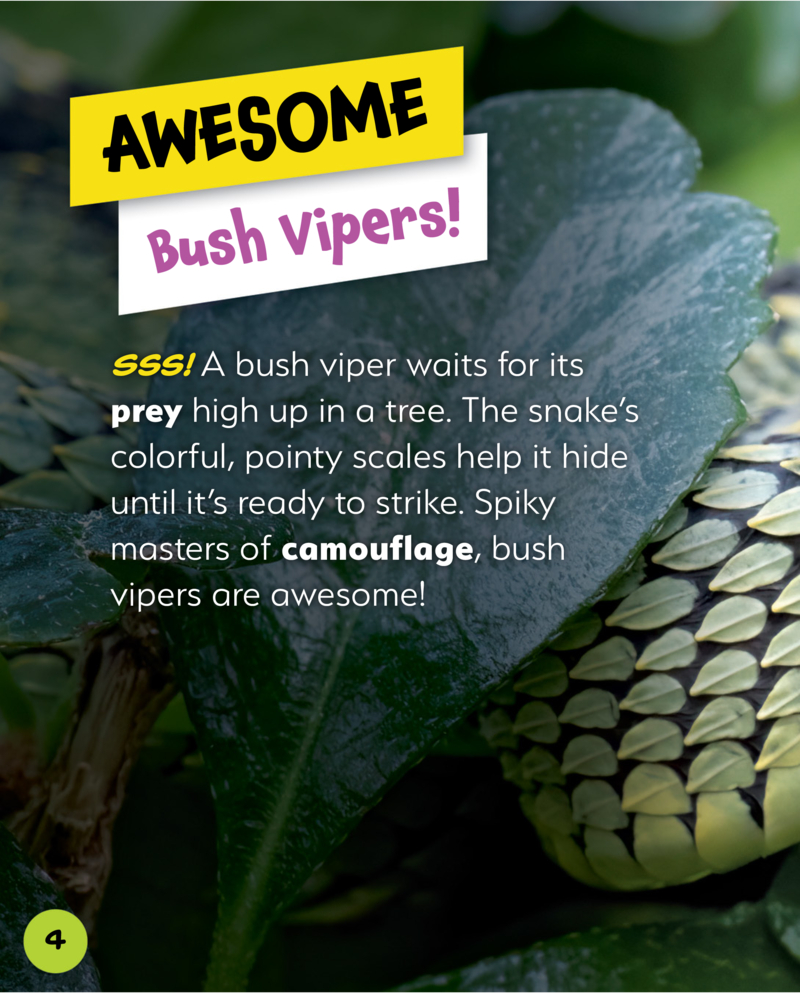 Bush Viper — page 1