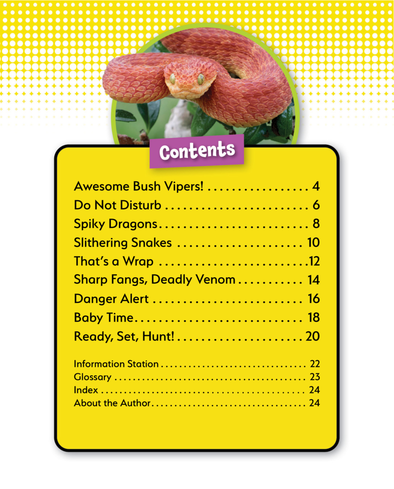 Bush Viper book cover