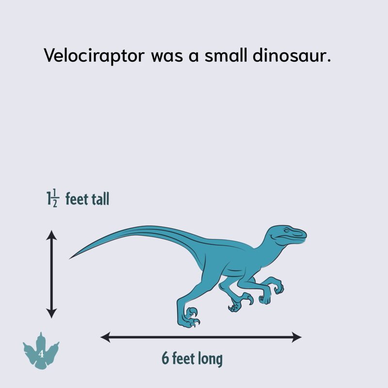 Velociraptor — page 1