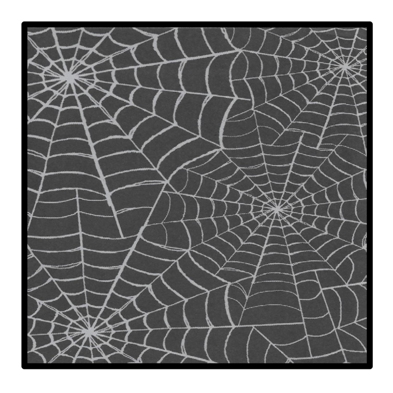 Spider Facts — page 1
