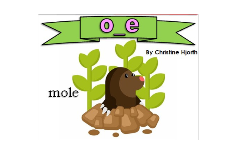 O_E Blending Book book cover