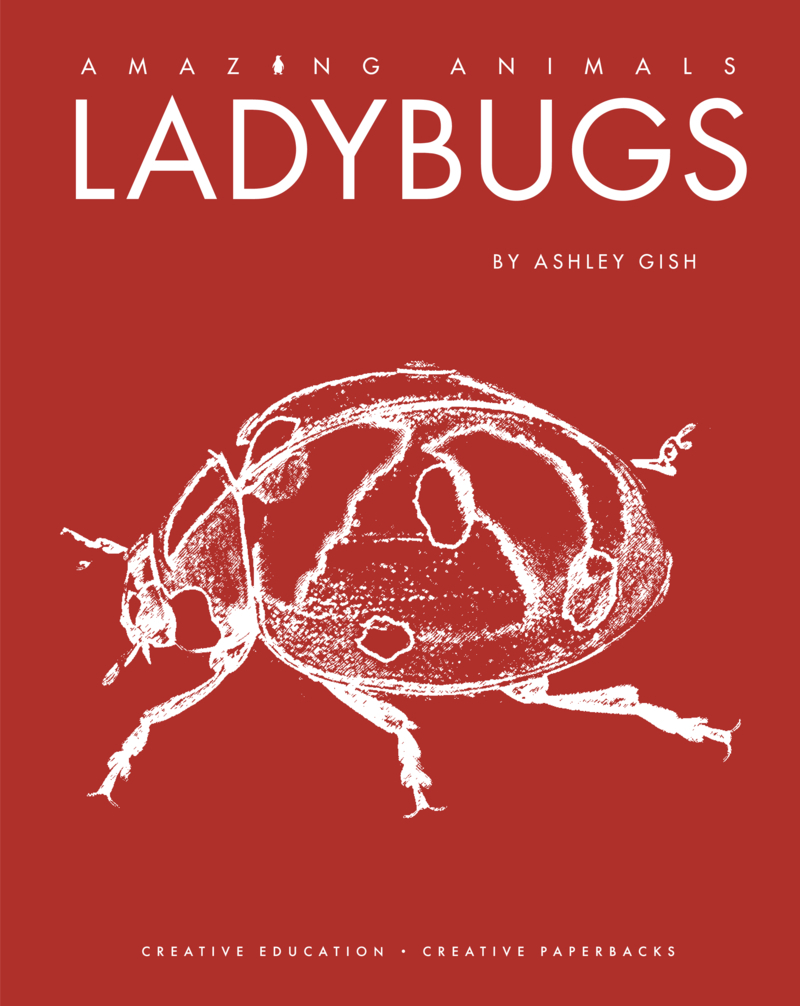 Ladybugs book cover