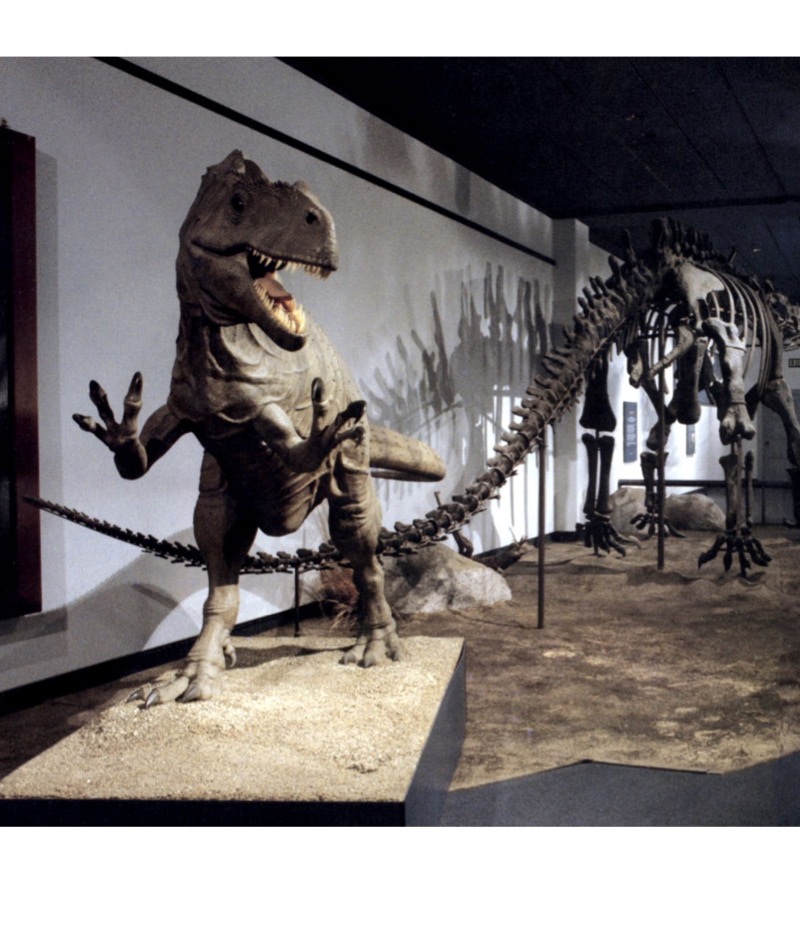 Dinosaurs All Around: An Artist's View Of The Prehistoric World — page 1