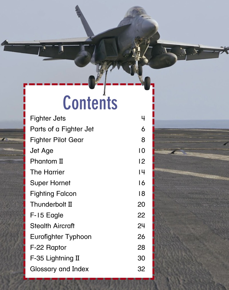 Fighter Jets: Defending the Skies book cover
