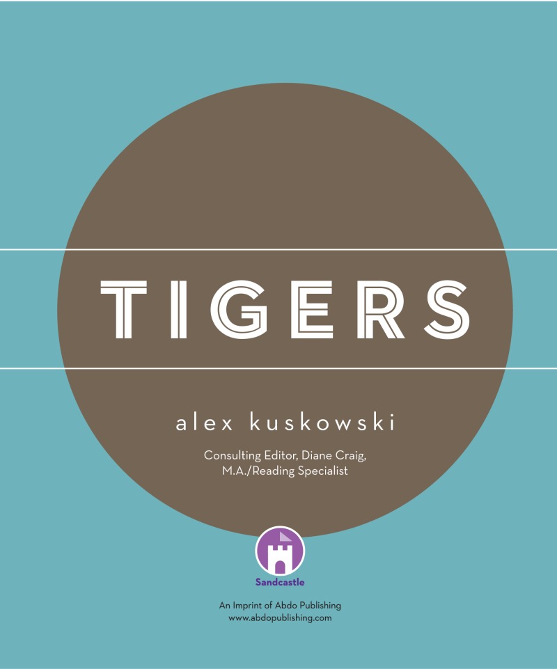 Zoo Animals: Tigers book cover
