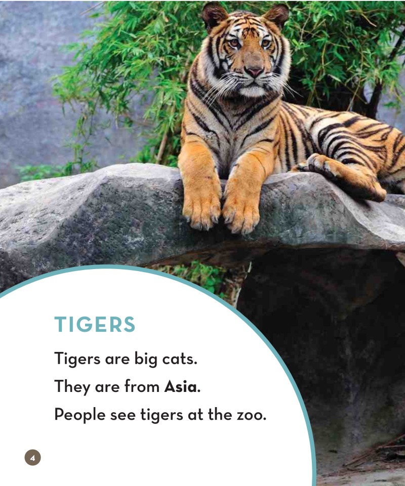 Zoo Animals: Tigers — page 1