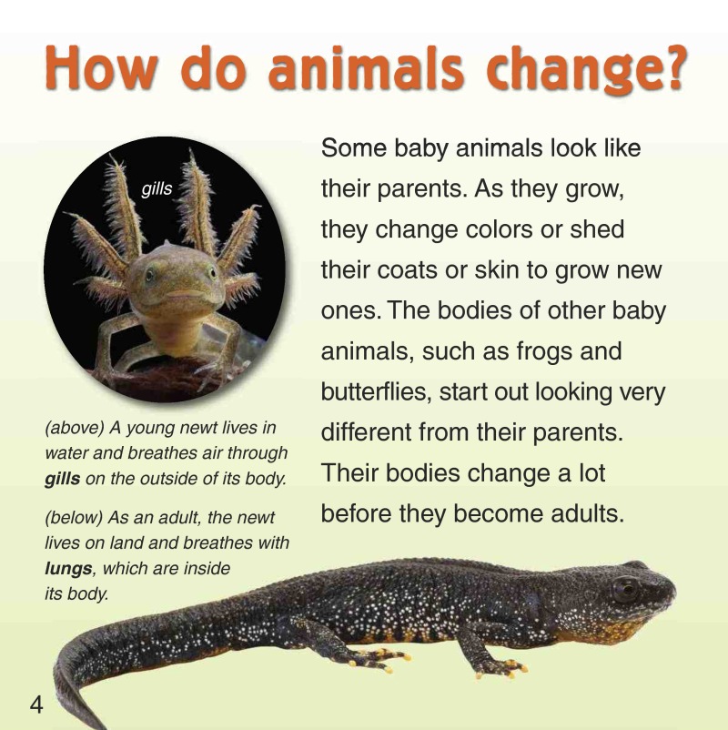 How and Why do Animals Change? — page 1