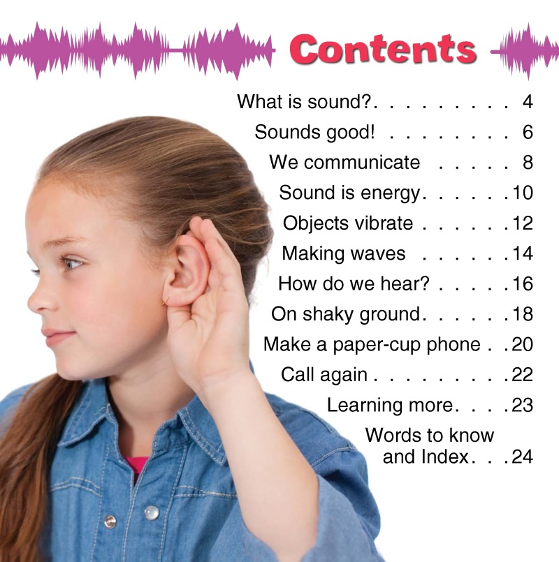 What are Sound Waves? book cover