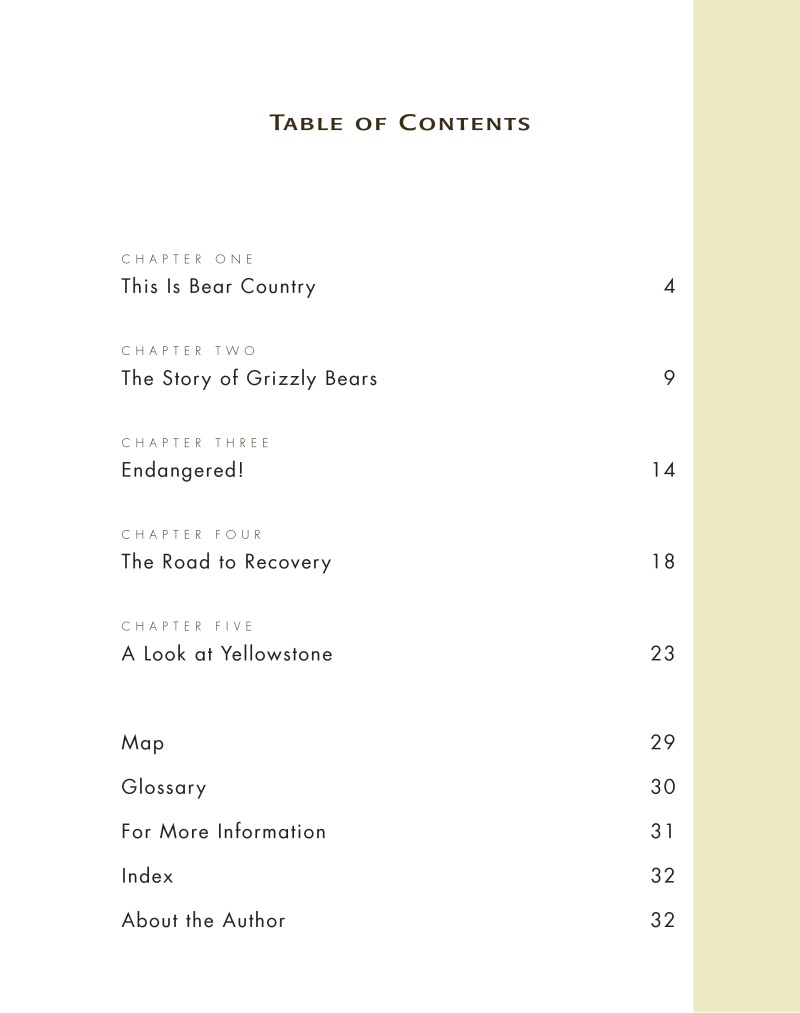 Road To Recovery: Grizzly Bear book cover