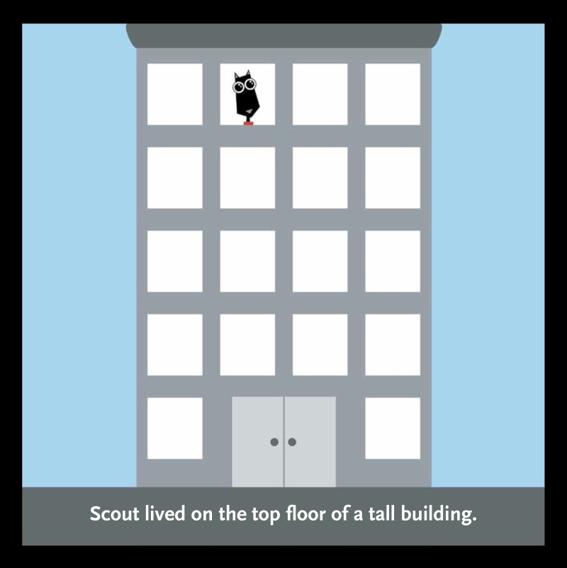 Scout book cover