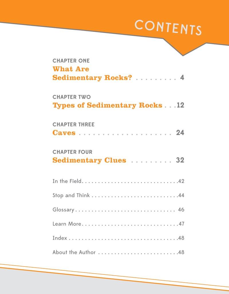 Rocks and Minerals: Sedimentary Rocks book cover