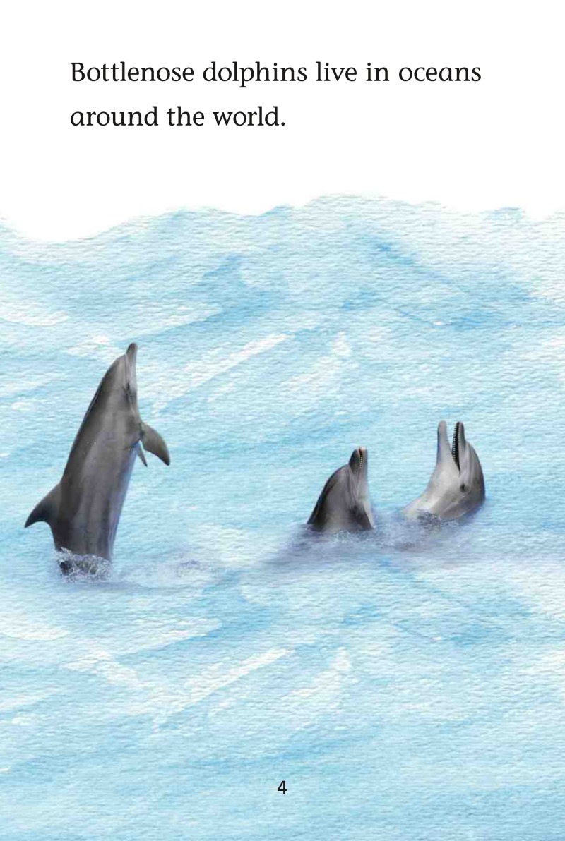 Magic Readers: Dolphins in the Ocean — page 1