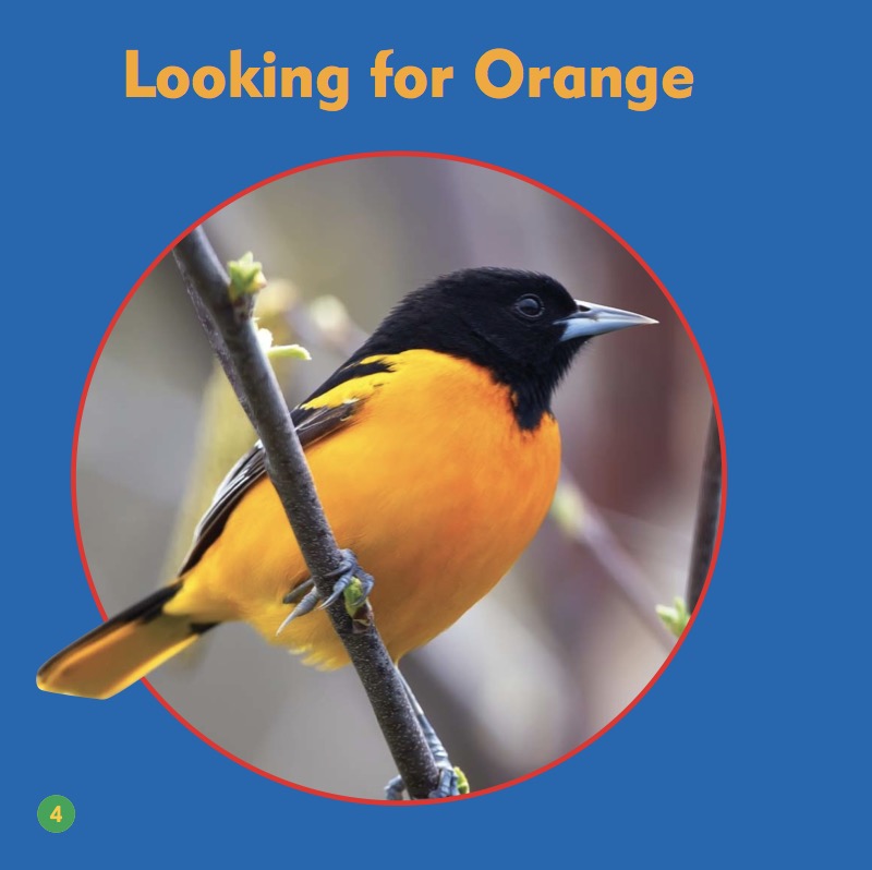 Colors In Nature: Orange — page 1