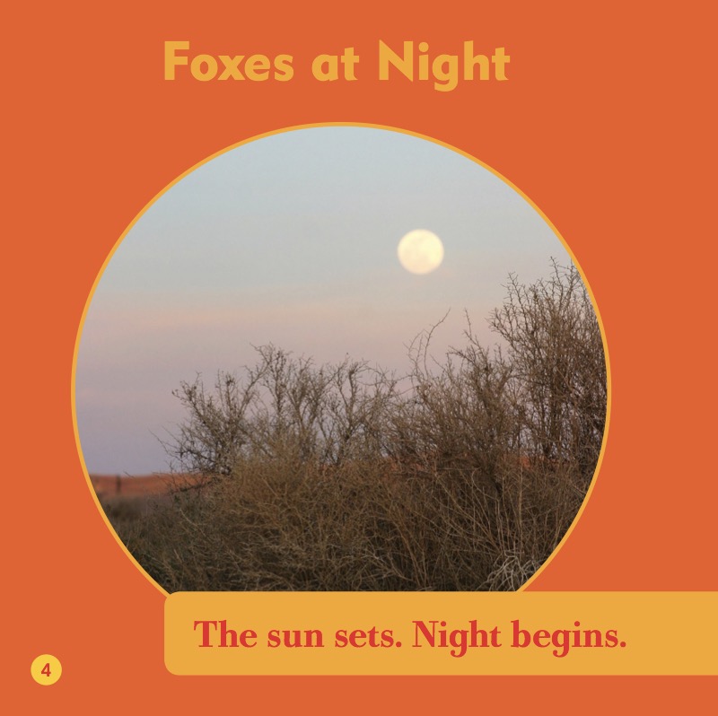My First Animal Library: Foxes — page 1