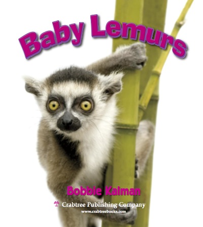 Baby Lemurs book cover