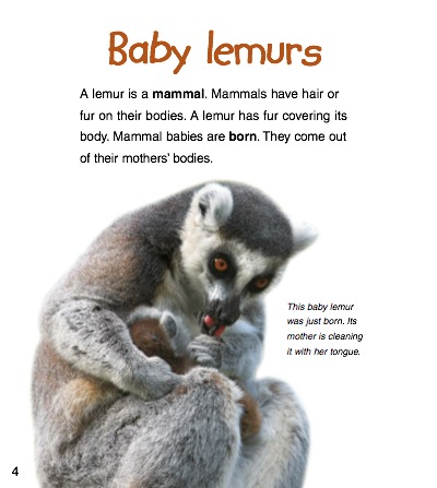 Baby Lemurs — page 1