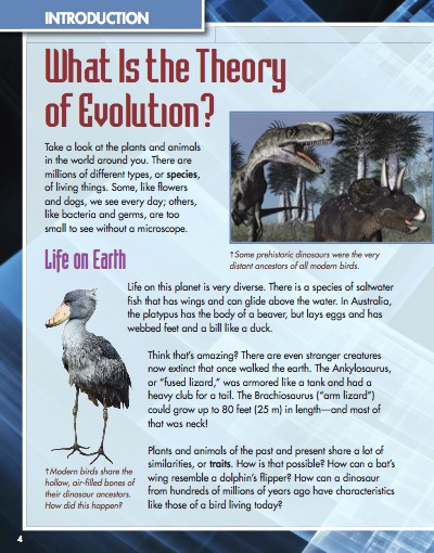 What Is The Theory Of Evolution? — page 1