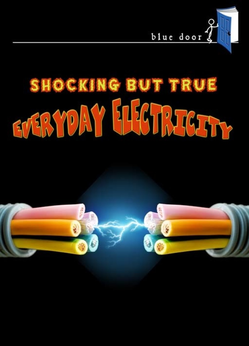 Shocking But True Everyday Electricity book cover