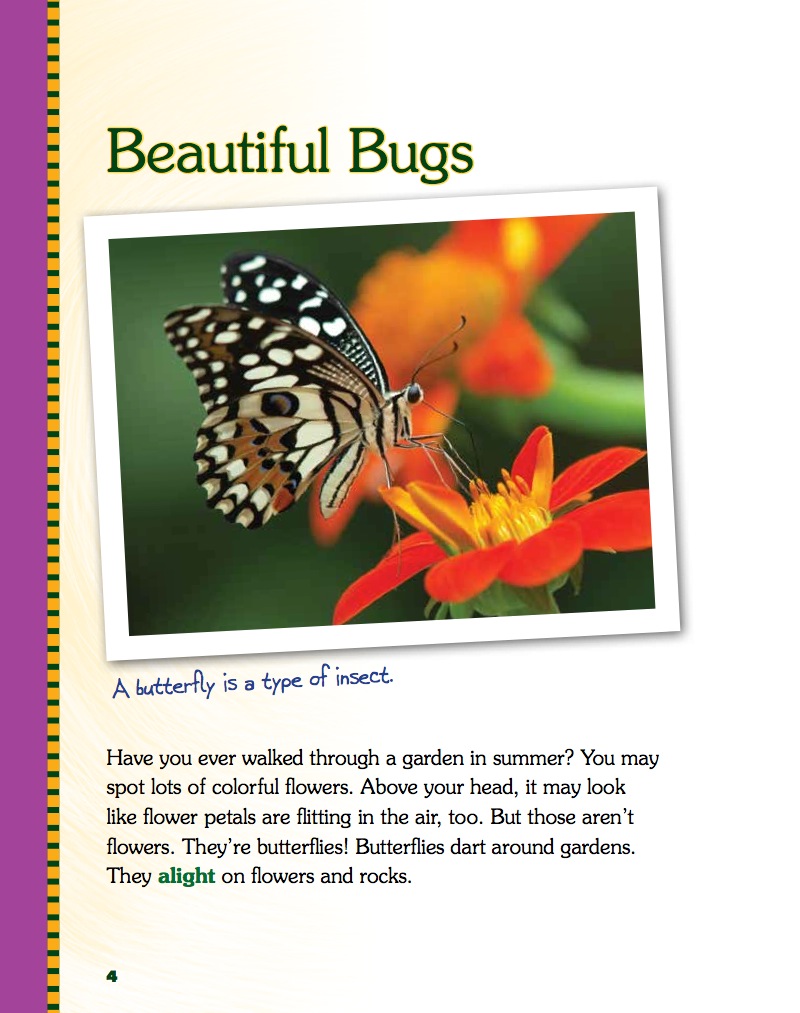 Making Butterfly Gardens — page 1