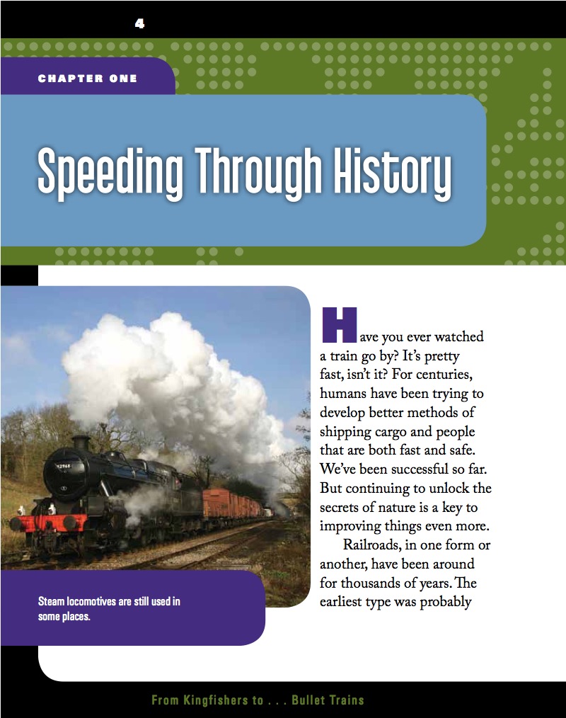 From Kingfishers to... Bullet Trains — page 1