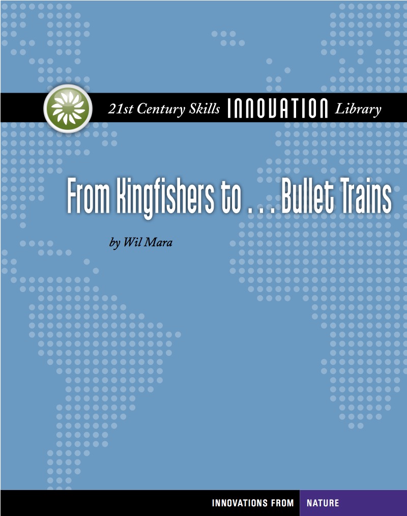 From Kingfishers to... Bullet Trains book cover