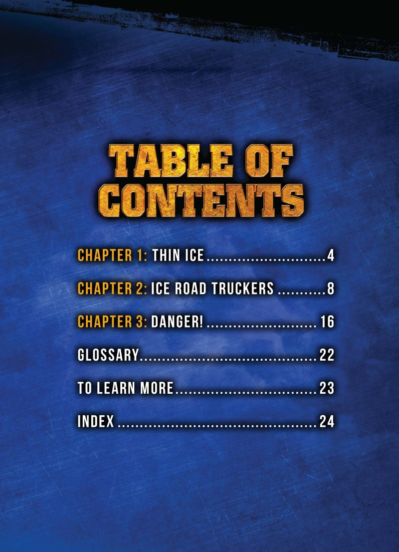 Ice Road Trucker book cover