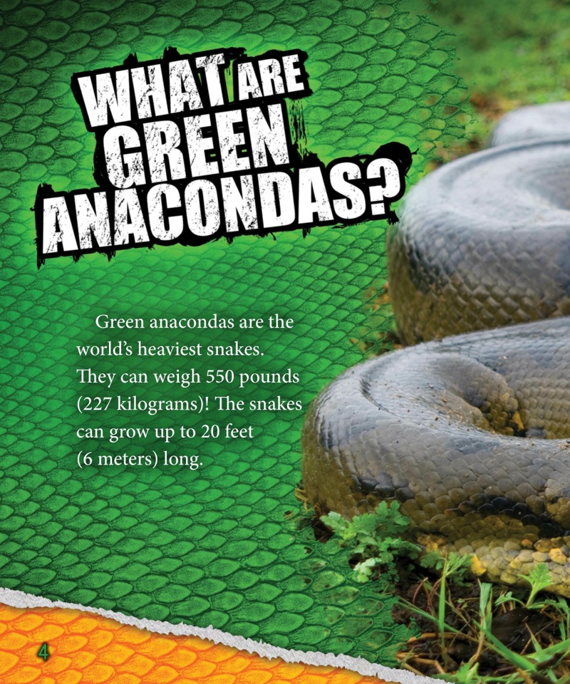 Amazing Snakes! Green Anacondas — page 1